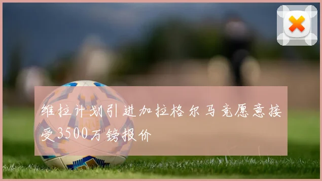 维拉计划引进加拉格尔马竞愿意接受3500万镑报价