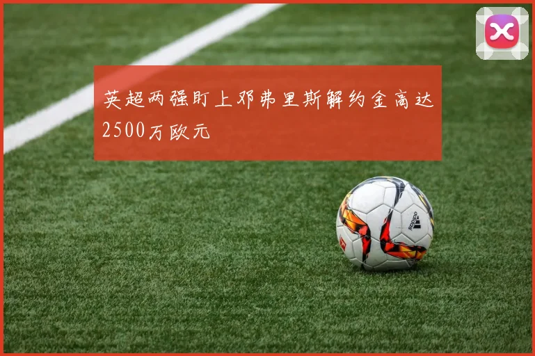 英超两强盯上邓弗里斯解约金高达2500万欧元